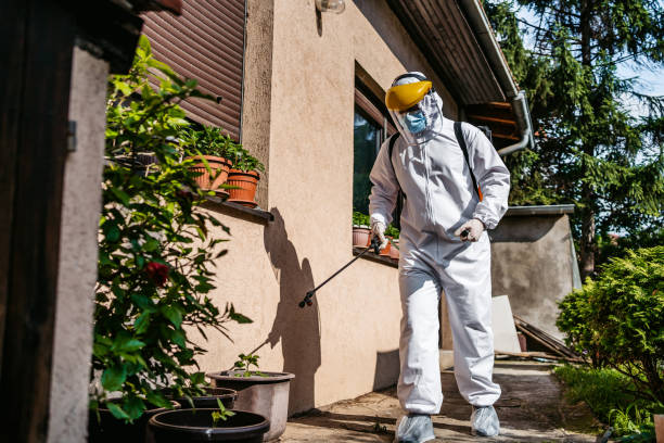Best Ant Control Services  in Level Park Oak Park, MI