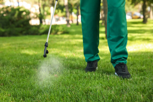 Best Cockroach Control Services  in Level Park Oak Park, MI
