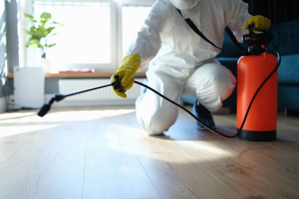 Best Flea Control Services  in Level Park Oak Park, MI