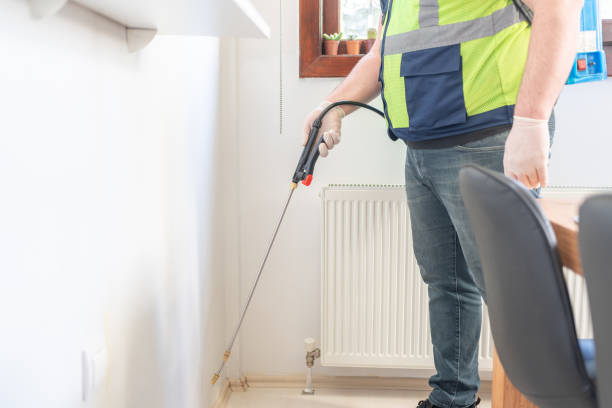 Best Affordable Pest Control Services  in Level Park Oak Park, MI