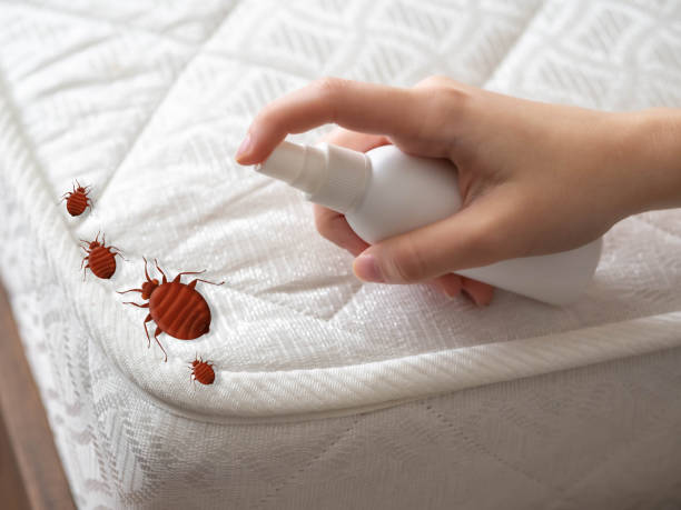 Best Bed Bug Extermination  in Level Park Oak Park, MI