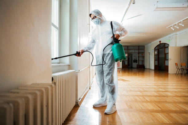 Best Pest Control Near Me in Level Park Oak Park, MI